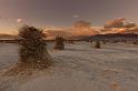 19 death valley, devil's cornfield